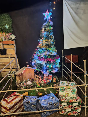 Comentarii opinii despre EL ENCUENTRO