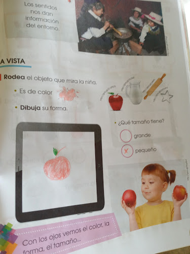 Comentarii opinii despre Panaderia Principal