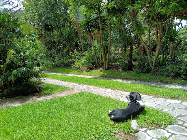 medio. A 300 metros del puente del Río Pisque (a 5 minutos de Guayllabamba, vía a Tabacundo Km 22 y, Tocachi