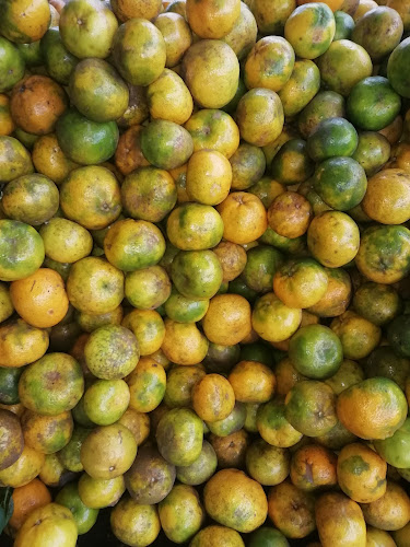 Ramada de los borrachos - Gastronomía y hostelería