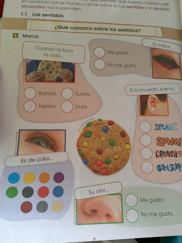 Comentarii opinii despre Panaderia Principal