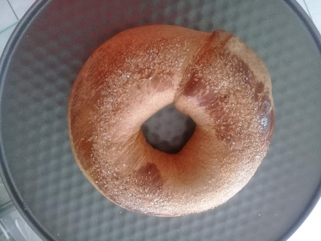 Comentarii opinii despre Tecnipan