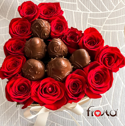 FROITA - Santo Domingo