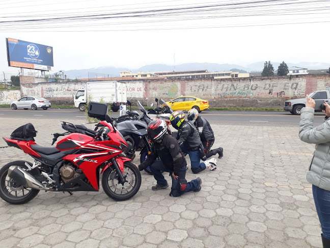 Bizcochos el Leñador