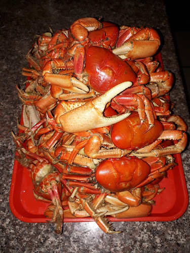 Comentarii opinii despre Cevicheria "EL TITANIC"