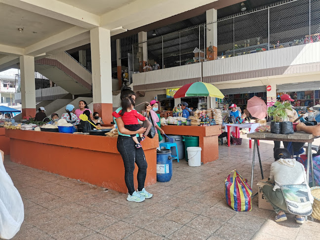 HCW9+245, Gualaquiza