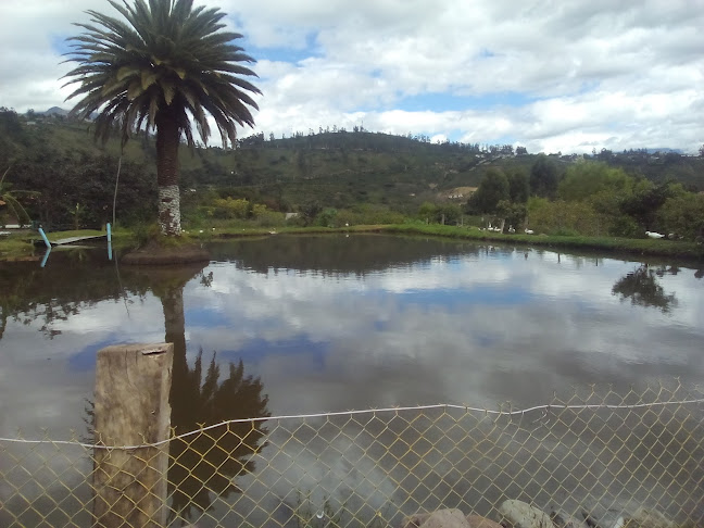 "San Alfonso" - Ibarra