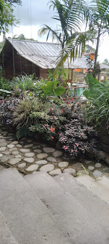 SALOYA FROGS (hospedaje)