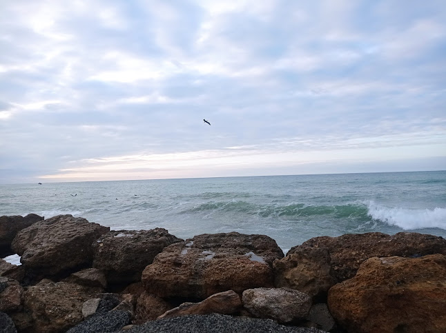 Comentarii opinii despre Piedra Larga Restaurant