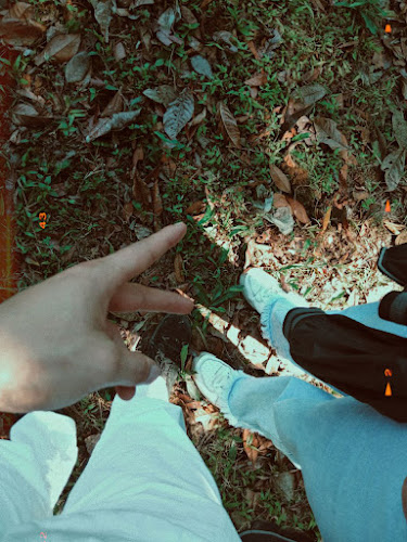 Comentarii opinii despre SALOYA FROGS (hospedaje)