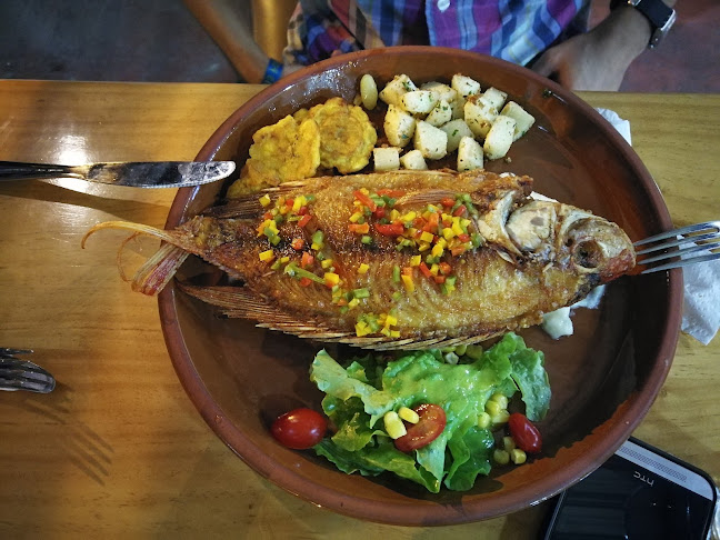 W2PX+33R, Av. Alonso de Mercadillo, Zamora