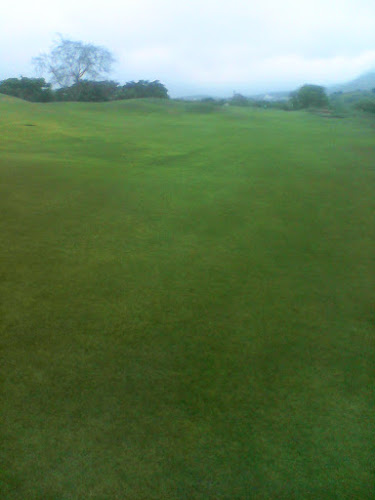 Agroinsumos Kevin - Palestina