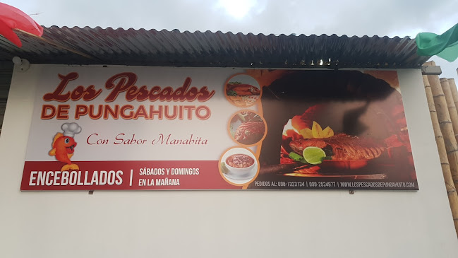 Los Pescados De Pungahuito