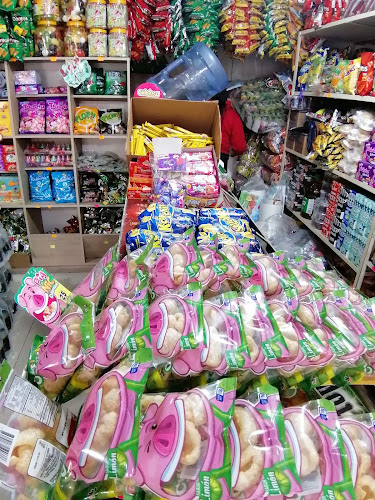 Belisario Quevedo, Pujilí 050450