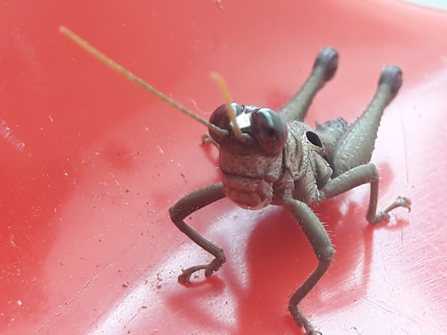 BAXTERS - Gastronomía y hostelería