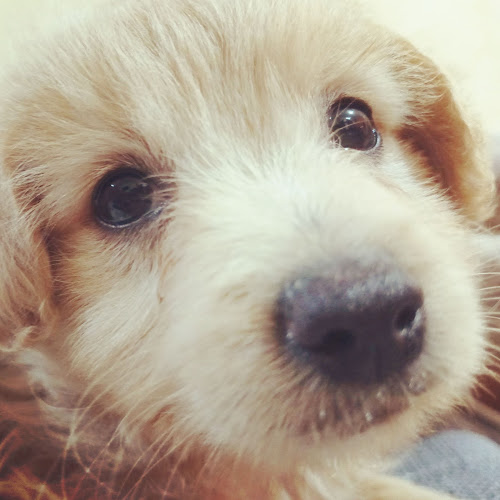 Opinii despre Restaurante Todos Vuelven în Santa Rosa - Gastronomía y hostelería