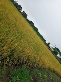 Comentarii opinii despre Recinto Don Bosco