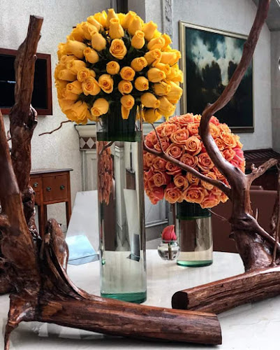 Opinii despre SANTA CLARA GARDENS în Tabacundo - Gastronomía y hostelería