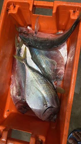 Paquisha 129, Quito 170148