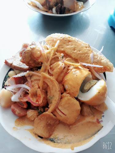 Comentarii opinii despre Chaulafan Andino