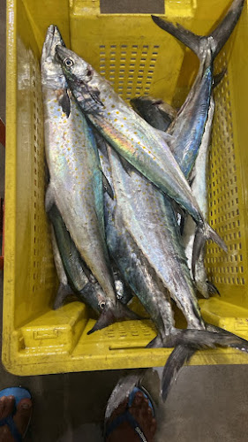 Paquisha 129, Quito 170148