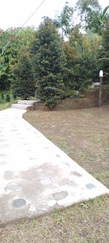 SALOYA FROGS (hospedaje) - Gastronomía y hostelería