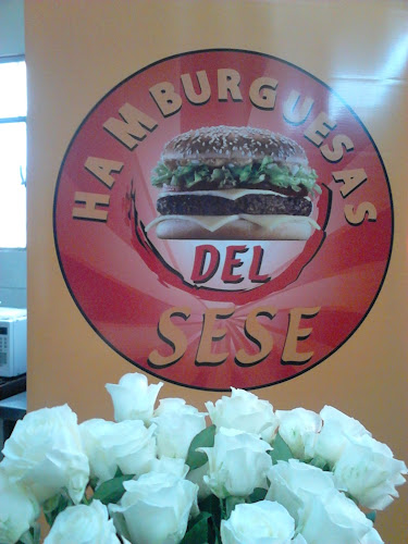 Vicente Ramón Roca E9-66 y, Quito 170517