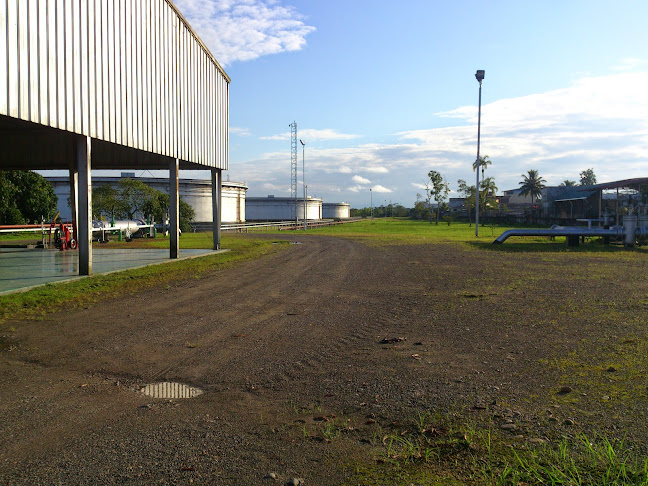 Opinii despre Lago agrio în Nueva Loja - Gastronomía y hostelería