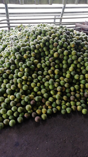 Opinii despre Ramada de los borrachos în Buena Fe - Gastronomía y hostelería