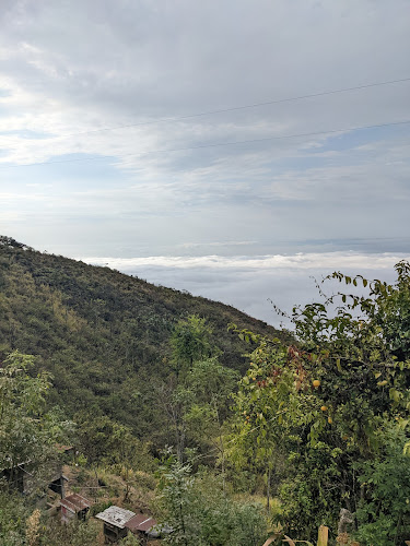 Restaurant Brisa Costanera - Molleturo