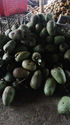 Comentarii opinii despre Ramada de los borrachos