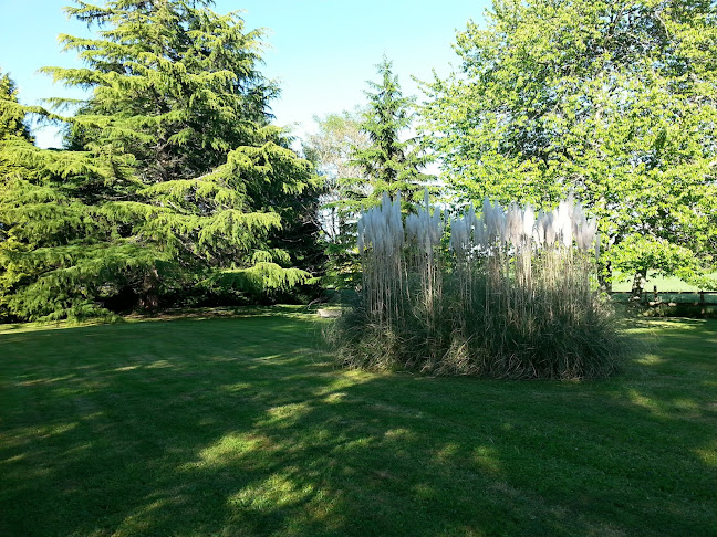 Opinii despre Pinas în Piñas - Gastronomía y hostelería