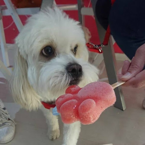 La Paletería by Alex - Gastronomía y hostelería