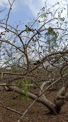 Los Lojas - Gastronomía y hostelería
