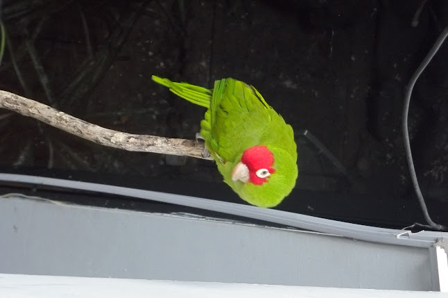 Centro Integral Ollantay - Gastronomía y hostelería