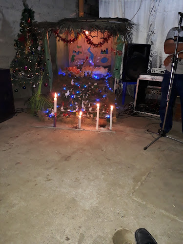 Comentarii opinii despre Mister Frankli