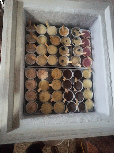 DULCE PARADA - Gastronomía y hostelería