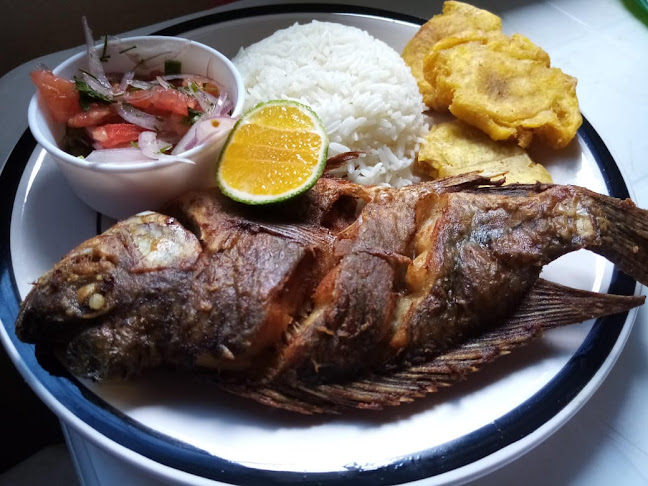 Roxy Restaurant - Tena