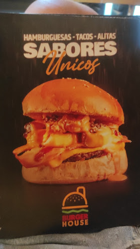 Ave Charles Darwin, Puerto Ayora