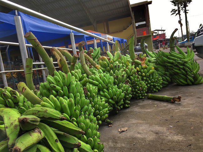 Comentarii opinii despre Mercado 1ro de Mayo
