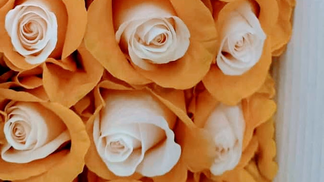 Luxury Flowers Luxflower S.A.