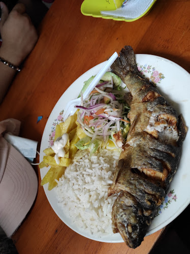 Opinii despre El Mirador Quillán în Píllaro - Gastronomía y hostelería