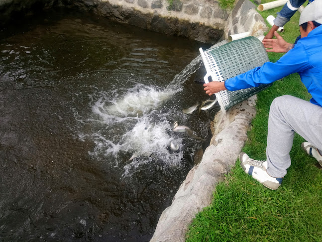 TRUCHAS LA VALENTINA - Gastronomía y hostelería