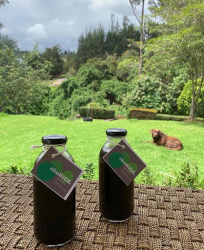 La Bendita - Chinchiloma - Gastronomía y hostelería