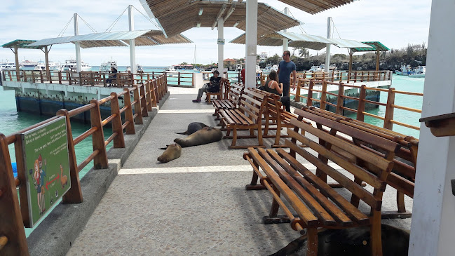 7M5M+282, Av. Baltra, Puerto Ayora