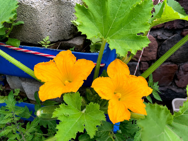 MHQH+447, Unnamed Road, Quito