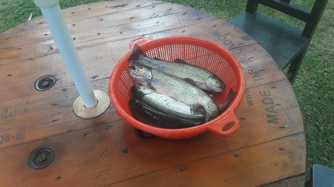 Opinii despre TRUCHAS LA VALENTINA în Ibarra - Gastronomía y hostelería