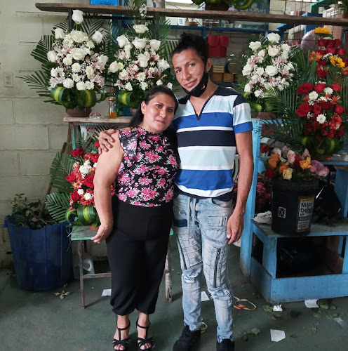 Calles Pedro Carbo y, Jose Velez, Daule 091901