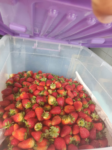 Opinii despre El mercadillo del Ecuador în Quito - Gastronomía y hostelería