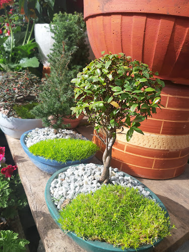 El Café de Las Flores - Gastronomía y hostelería